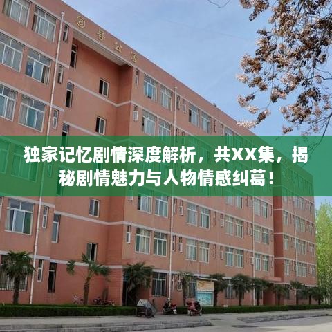 獨家記憶劇情深度解析，共XX集，揭秘劇情魅力與人物情感糾葛！