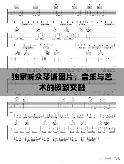 獨(dú)家聽(tīng)眾琴譜圖片，音樂(lè)與藝術(shù)的極致交融