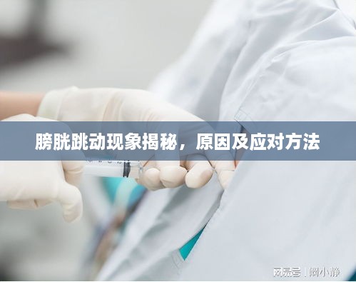 膀胱跳動現(xiàn)象揭秘，原因及應(yīng)對方法
