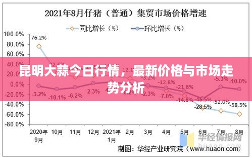 昆明大蒜今日行情，最新價(jià)格與市場(chǎng)走勢(shì)分析