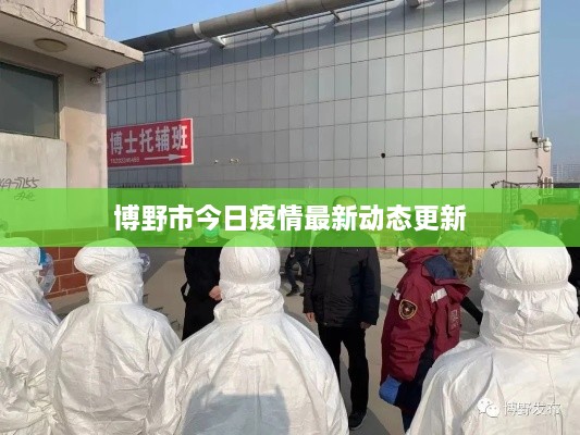 博野市今日疫情最新動態(tài)更新