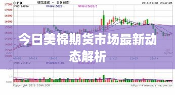 今日美棉期貨市場(chǎng)最新動(dòng)態(tài)解析