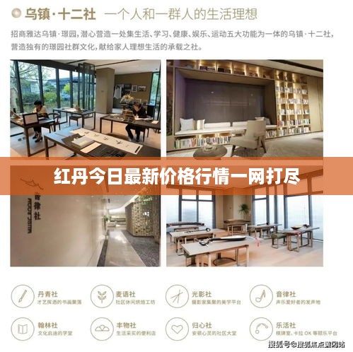 紅丹今日最新價(jià)格行情一網(wǎng)打盡