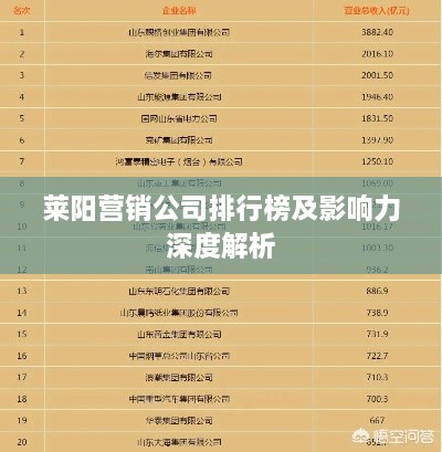 萊陽營銷公司排行榜及影響力深度解析