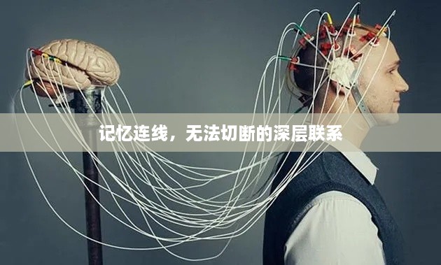 記憶連線，無法切斷的深層聯系