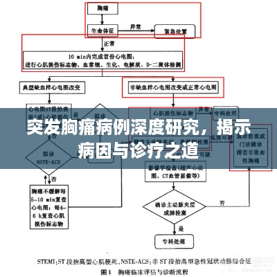 突發(fā)胸痛病例深度研究，揭示病因與診療之道