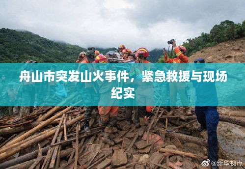 舟山市突發(fā)山火事件，緊急救援與現(xiàn)場(chǎng)紀(jì)實(shí)