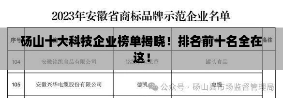 碭山十大科技企業(yè)榜單揭曉！排名前十名全在這！