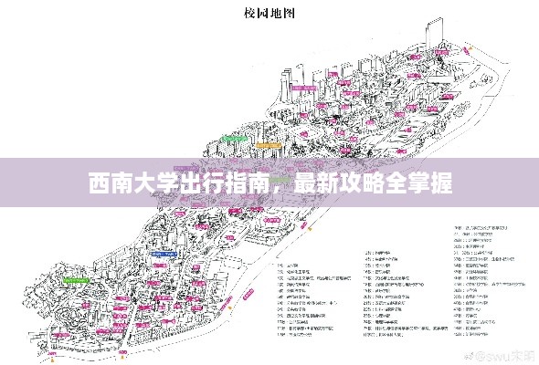 西南大學(xué)出行指南，最新攻略全掌握