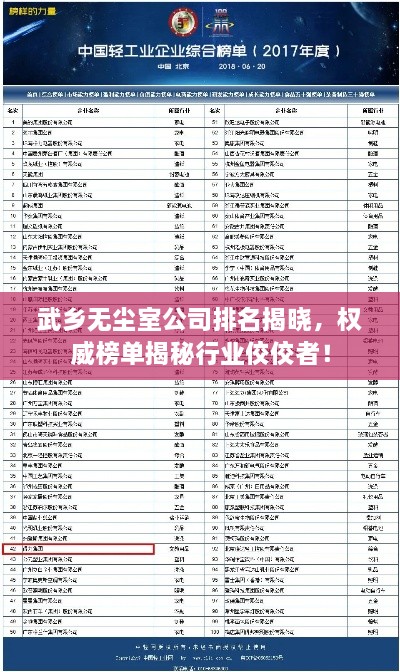 武鄉(xiāng)無塵室公司排名揭曉，權威榜單揭秘行業(yè)佼佼者！