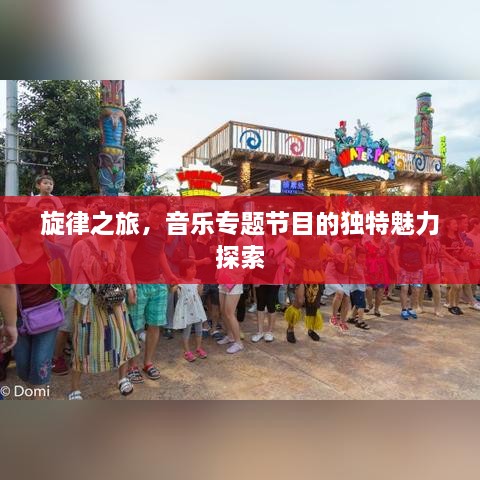 旋律之旅，音樂專題節(jié)目的獨(dú)特魅力探索