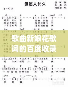 歌曲新娘花歌詞的百度收錄之旅，探尋美麗花語與浪漫旋律的融合