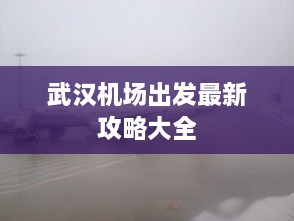 武漢機(jī)場(chǎng)出發(fā)最新攻略大全