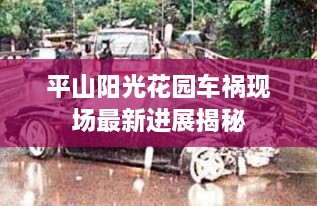 平山陽(yáng)光花園車(chē)禍現(xiàn)場(chǎng)最新進(jìn)展揭秘
