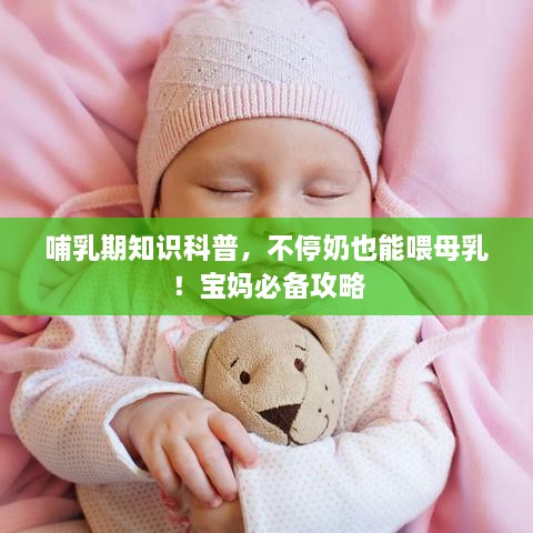 哺乳期知識科普，不停奶也能喂母乳！寶媽必備攻略