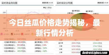 今日絲瓜價格走勢揭秘，最新行情分析