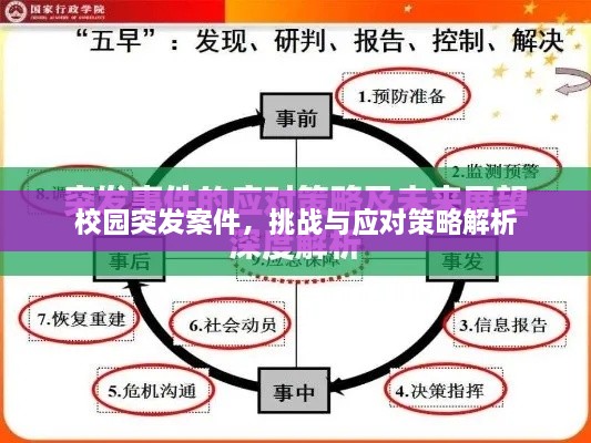 校園突發(fā)案件，挑戰(zhàn)與應(yīng)對策略解析