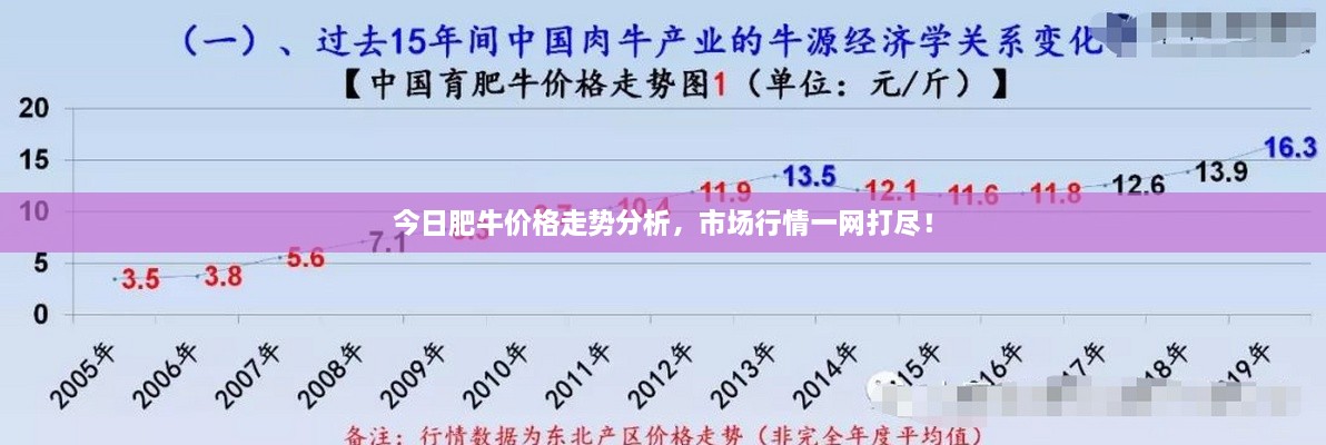 今日肥牛價格走勢分析，市場行情一網(wǎng)打盡！