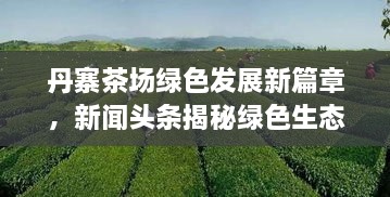 丹寨茶場(chǎng)綠色發(fā)展新篇章，新聞?lì)^條揭秘綠色生態(tài)之旅