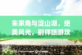 朱家角與淀山湖，絕美風(fēng)光，別樣旅游攻略體驗(yàn)