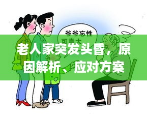 老人家突發(fā)頭昏，原因解析、應(yīng)對方案與預(yù)防策略全解析