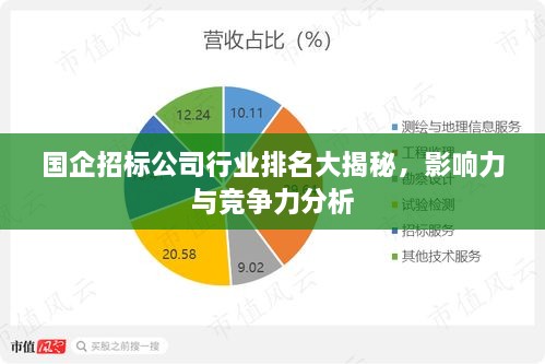 國企招標(biāo)公司行業(yè)排名大揭秘，影響力與競爭力分析