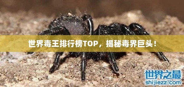 世界毒王排行榜TOP，揭秘毒界巨頭！