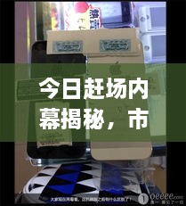 今日趕場內(nèi)幕揭秘，市場繁忙背后的最新動態(tài)揭秘