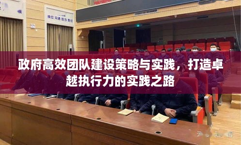 政府高效團(tuán)隊(duì)建設(shè)策略與實(shí)踐，打造卓越執(zhí)行力的實(shí)踐之路