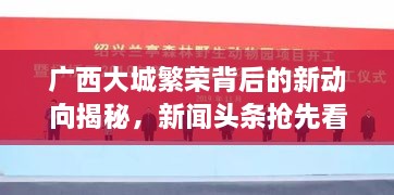 廣西大城繁榮背后的新動(dòng)向揭秘，新聞?lì)^條搶先看！