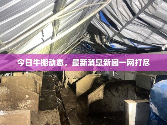 今日牛棚動態(tài)，最新消息新聞一網(wǎng)打盡