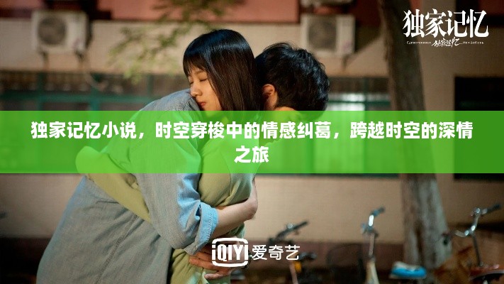 獨家記憶小說，時空穿梭中的情感糾葛，跨越時空的深情之旅