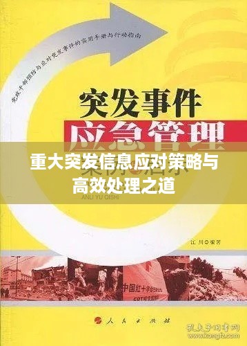 重大突發(fā)信息應(yīng)對策略與高效處理之道