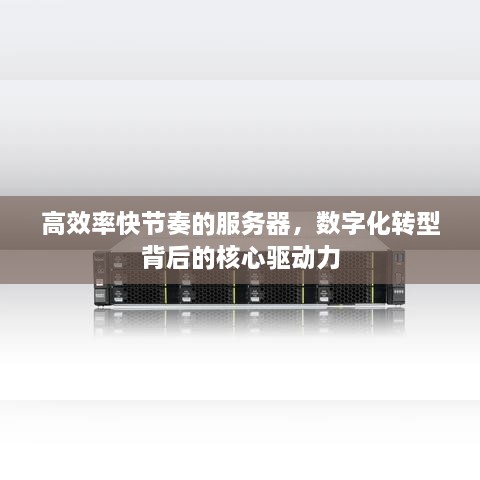 高效率快節(jié)奏的服務(wù)器，數(shù)字化轉(zhuǎn)型背后的核心驅(qū)動力