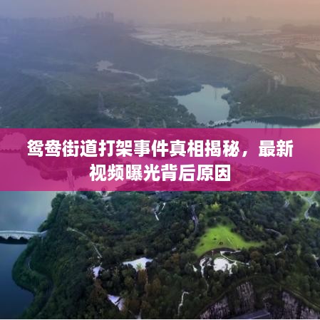 鴛鴦街道打架事件真相揭秘，最新視頻曝光背后原因