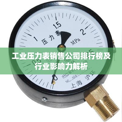 工業(yè)壓力表銷售公司排行榜及行業(yè)影響力解析