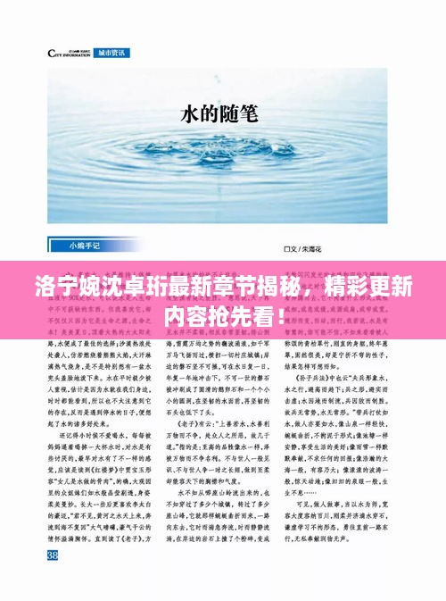 洛寧婉沈卓珩最新章節(jié)揭秘，精彩更新內(nèi)容搶先看！