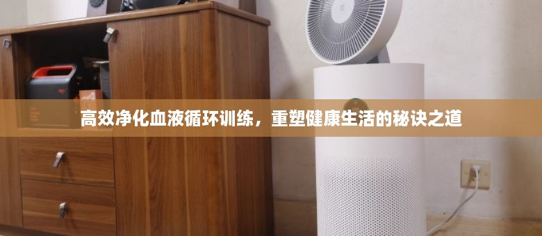 高效凈化血液循環(huán)訓(xùn)練，重塑健康生活的秘訣之道
