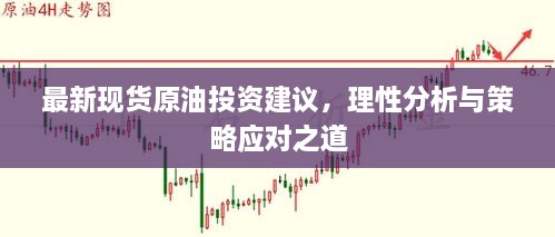 最新現(xiàn)貨原油投資建議，理性分析與策略應(yīng)對之道