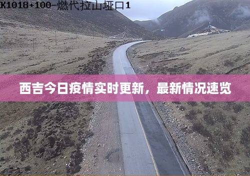 西吉今日疫情實(shí)時(shí)更新，最新情況速覽