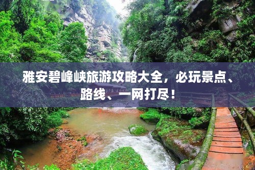 雅安碧峰峽旅游攻略大全，必玩景點、路線、一網(wǎng)打盡！