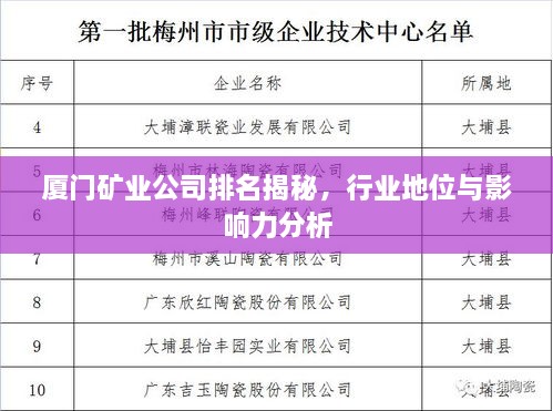 廈門礦業(yè)公司排名揭秘，行業(yè)地位與影響力分析