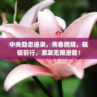 中央勵(lì)志語(yǔ)錄，青春燃燒，砥礪前行，激發(fā)無(wú)限潛能！