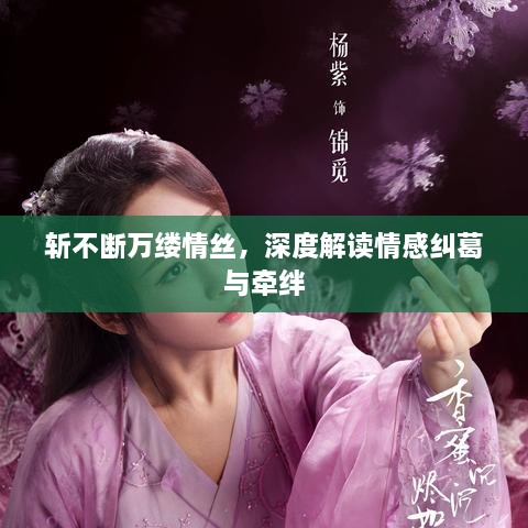 斬不斷萬縷情絲，深度解讀情感糾葛與牽絆