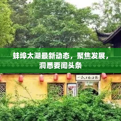 蚌埠太湖最新動(dòng)態(tài)，聚焦發(fā)展，洞悉要聞?lì)^條