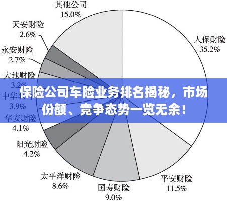 保險(xiǎn)公司車險(xiǎn)業(yè)務(wù)排名揭秘，市場(chǎng)份額、競(jìng)爭(zhēng)態(tài)勢(shì)一覽無余！
