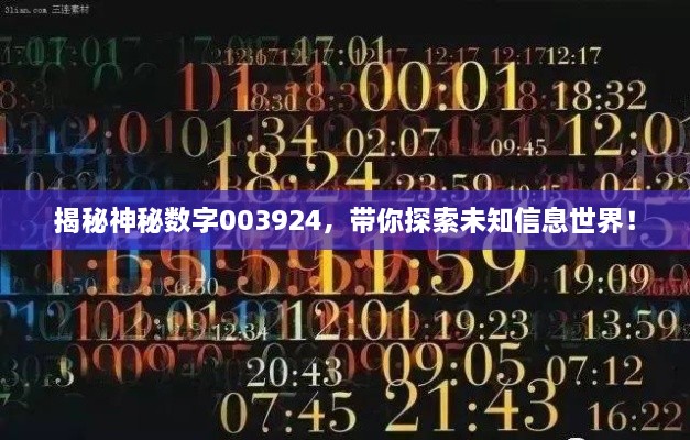揭秘神秘?cái)?shù)字003924，帶你探索未知信息世界！