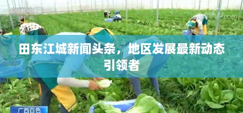 田東江城新聞頭條，地區(qū)發(fā)展最新動態(tài)引領(lǐng)者