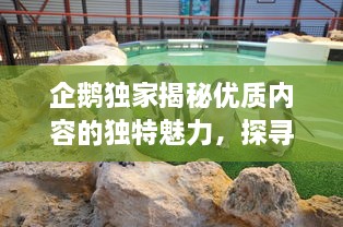 企鵝獨(dú)家揭秘優(yōu)質(zhì)內(nèi)容的獨(dú)特魅力，探尋內(nèi)容價(jià)值的無(wú)限可能