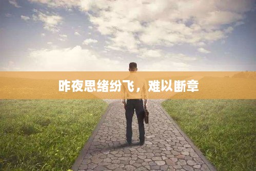 昨夜思緒紛飛，難以斷章